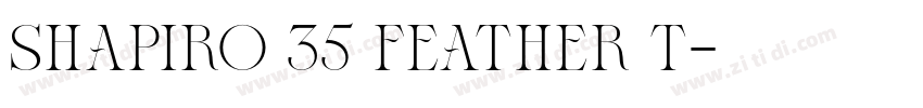 Shapiro 35 Feather T字体转换